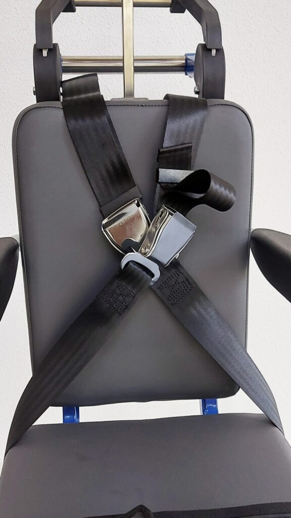 Pic_AisleMobbySeatbelt01